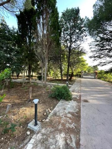 B&B A Pochi Passi Dal Mare Giovinazzo Kültér fotó